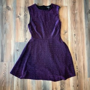 Lulu’s Skater dress sparkly purple